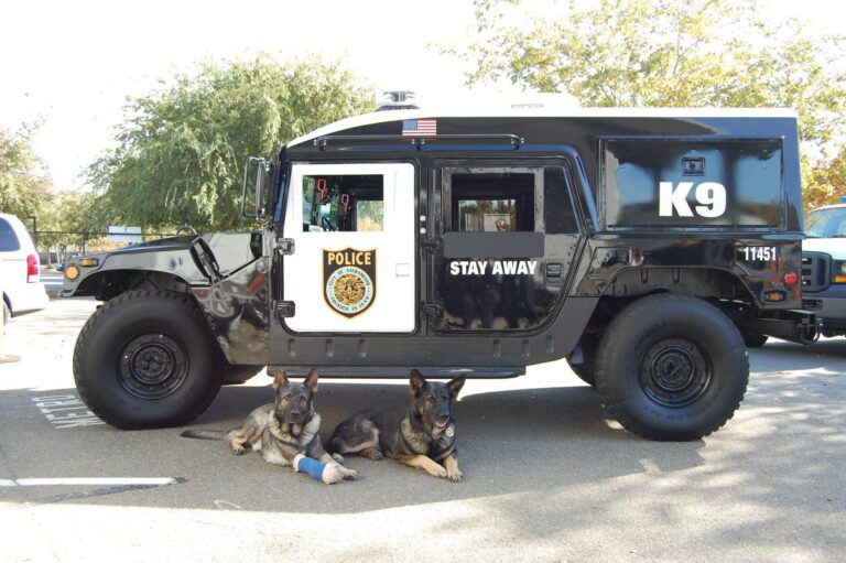 When Working Dogs Rule: Canine Vehicles that Turn Heads