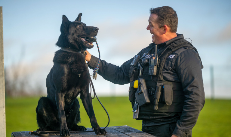 THE HUMAN SIDE OF K-9: BEYOND TRAINING, AN EMOTIONAL AND PSYCHOLOGICAL ...