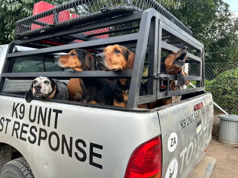 K-9 Crews Unleash Synergy: When Canine Specialists Team Up and Raise an Eyebrow at the Rest of the Force!