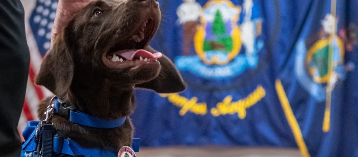 2473910_20220920_BAXTER_6807