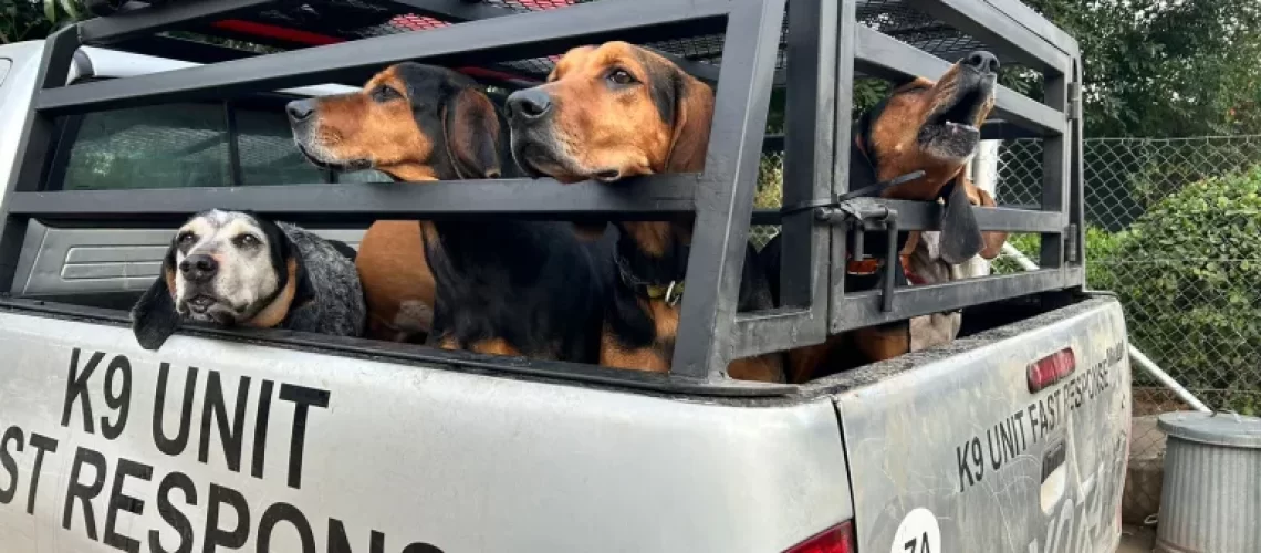 K9-Unit-768x576