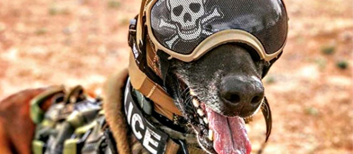 LTSHY2PDFBCDBFDFYWUB4J24RI